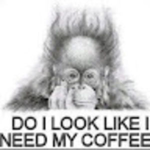 Meet your Posher, Sean